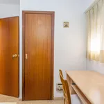 Rent 4 bedroom apartment in Valencia