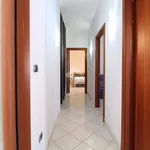 Rent 3 bedroom apartment of 80 m² in Brindisi