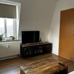 Rent 1 bedroom apartment of 46 m² in Dresden