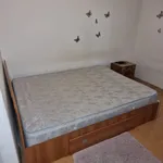 Rent 1 bedroom apartment in Craiova