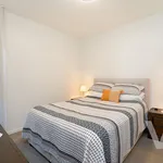 Rent 3 bedroom apartment in Broadmeadow