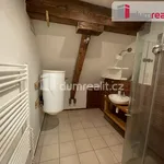 Rent 1 bedroom apartment of 48 m² in Krnov