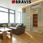 Rent 2 bedroom apartment of 52 m² in Brno