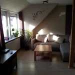 Rent 2 bedroom apartment of 50 m² in Bremen