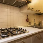 Rent 1 bedroom apartment in florence