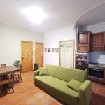 Rent 2 bedroom apartment of 70 m² in Roma