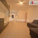 Rent 3 bedroom apartment of 80 m² in Praha