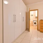 Rent 3 bedroom apartment in Brno