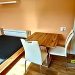 Rent 1 bedroom apartment of 25 m² in Kunovice