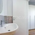 Rent 3 bedroom apartment of 120 m² in Roma