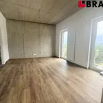 Pronajměte si 2 ložnic/e byt o rozloze 45 m² v Brno