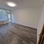 Rent 4 bedroom apartment in Ústí nad Labem