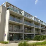 Rent 1 bedroom apartment in Gent