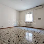 Rent 3 bedroom apartment of 90 m² in Pavia