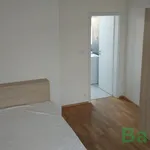 Pronajměte si 3 ložnic/e byt o rozloze 94 m² v Brno