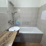 Rent 1 bedroom apartment of 27 m² in Ostrava