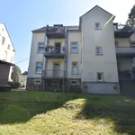 Rent 2 bedroom apartment of 44 m² in Hartmannsdorf