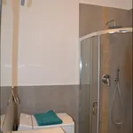 Rent 2 bedroom apartment in Turin