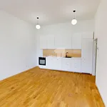 Rent 1 bedroom apartment of 40 m² in Pelhřimov