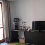 Rent 1 bedroom apartment in Capital City of Prague