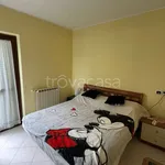 Rent 2 bedroom apartment of 62 m² in Nettuno