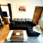 Miete 2 Schlafzimmer wohnung von 48 m² in Dresden