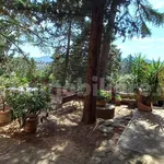 3-room flat via di Canonica 37, Monte Morello, Cercina, Sesto Fiorentino