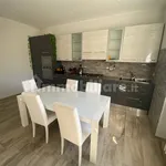 Rent 3 bedroom apartment of 98 m² in Turin