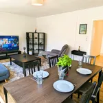 Rent 3 bedroom apartment of 80 m² in Kassel