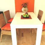 Rent 1 bedroom apartment of 40 m² in Maria Enzersdorf