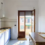 Rent 1 bedroom apartment in Genoa