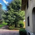 Rent 3 bedroom apartment of 100 m² in Biella