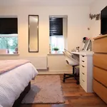 Rent 4 bedroom apartment in Leicester