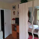  appartement avec 1 chambre(s) en location à Waterloo