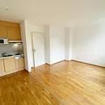 Miete 1 Schlafzimmer wohnung von 30 m² in Vienna