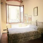 Rent 2 bedroom apartment of 50 m² in Firenze