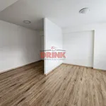 Rent 1 bedroom apartment of 38 m² in Mladá Boleslav