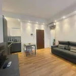 Rent 2 bedroom apartment of 45 m² in Milan