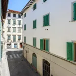 Rent 1 bedroom apartment in Florence