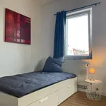 Miete 1 Schlafzimmer wohnung von 18 m² in Stuttgart