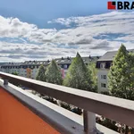 Pronajměte si 2 ložnic/e byt o rozloze 44 m² v Rosice