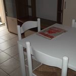 Rent 2 bedroom apartment of 55 m² in Rimini