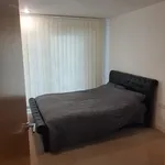 Rent 1 bedroom apartment in London