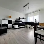 Rent 2 bedroom apartment of 44 m² in Rzeszów