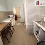 Rent 3 bedroom apartment in Mariánské Lázně