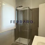 Rent 1 bedroom apartment of 70 m² in treviso