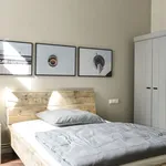 Rent 1 bedroom apartment of 41 m² in Berlin