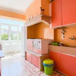 Rent a room in lisbon