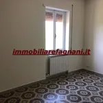 Rent 4 bedroom apartment of 126 m² in Velletri