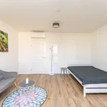 31 m² Studio in berlin